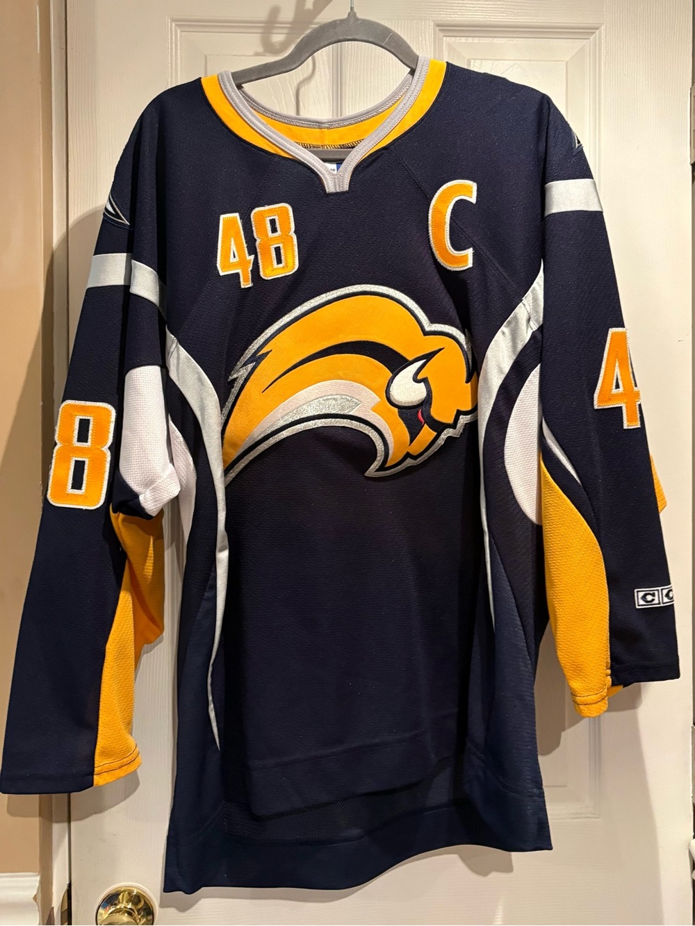 Daniel Brière Buffalo Sabres “Buffaslug”  Jersey
